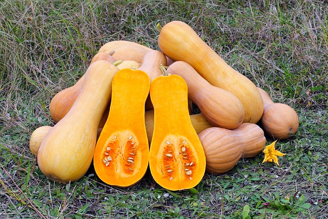 Calabaza butternut ecológica