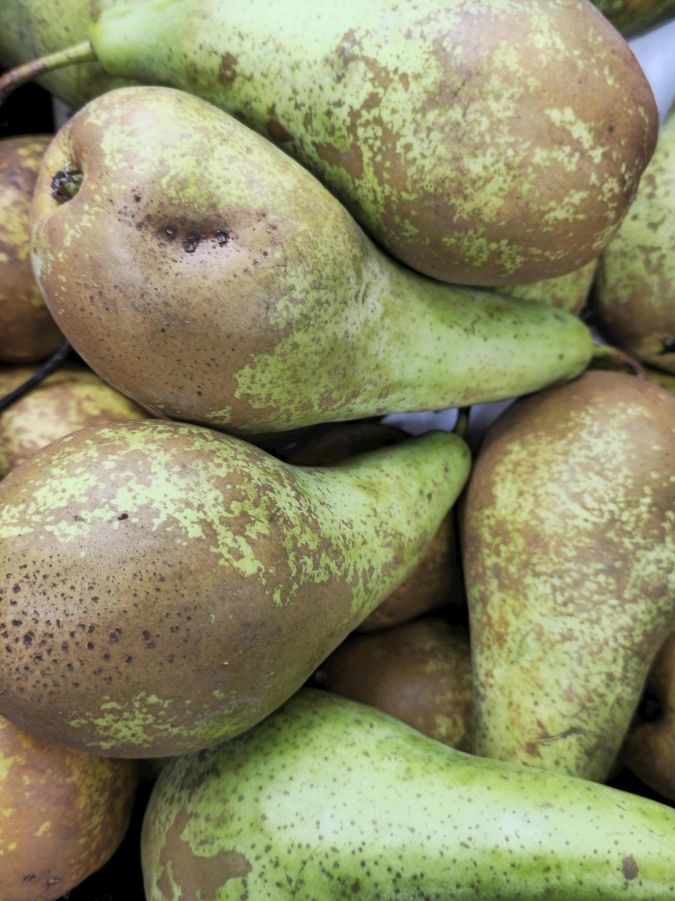 Pera conferencia ecológica